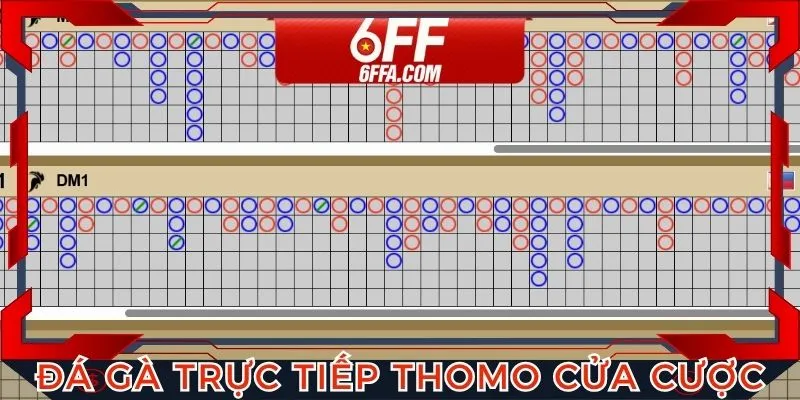 Đá gà Thomo tại nhà cái 6FF với nhiều hình thức đặt cược