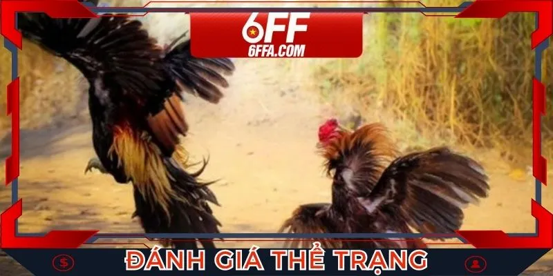 Đánh giá thể trạng, tính cách để đưa ra phán đoán
