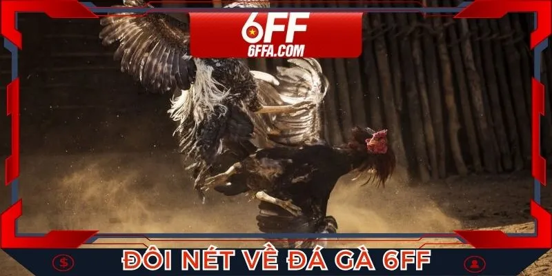 Đôi nét thông tin hữu ích về sân chơi đá gà 6FF