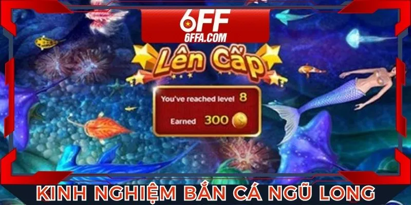 Kinh nghiệm chơi bắn cá Ngũ Long hữu ích cho bạn